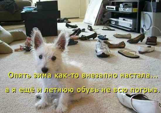 Понедельник - день тяжёлый | Бэйбики Понедельник - день тяжёлый