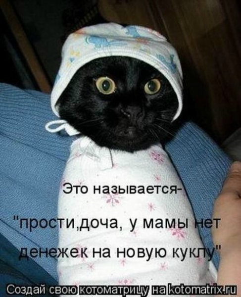 Море позитива) Для поднятия настроения (осторожно! много фото)))) | Бэйбики Море позитива) Для поднятия настроения (осторожно! много фото))))