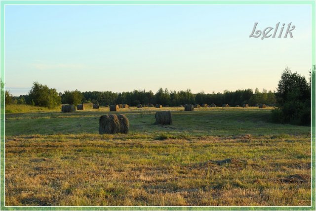 Прогулка по вечерней "Сене" с Оливией, Olivia Helen Kish