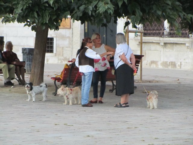 "Моя Италия". Часть 7 - Венеция (фото 6)