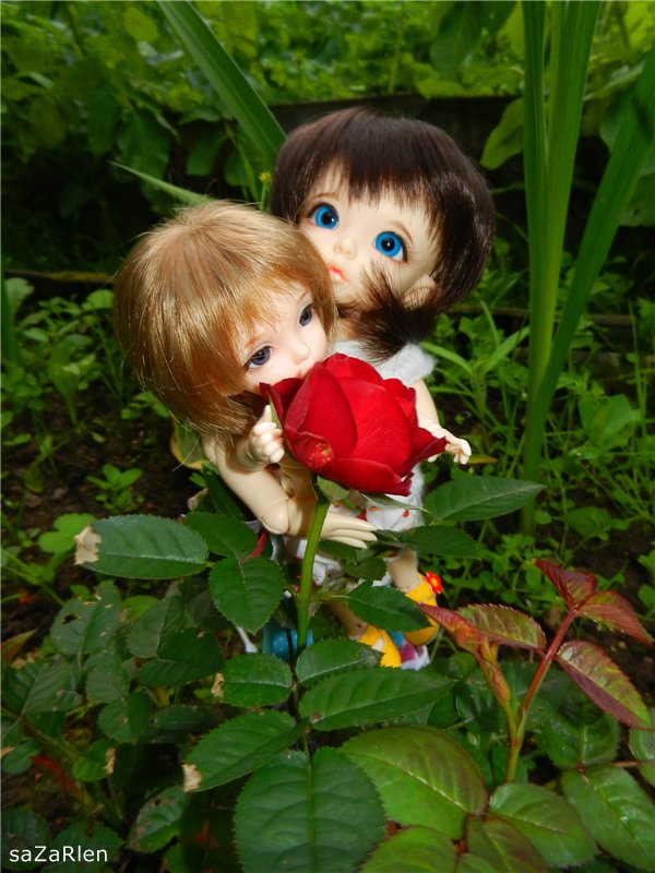 Варвара путешевственница (Литтлфи Анте)