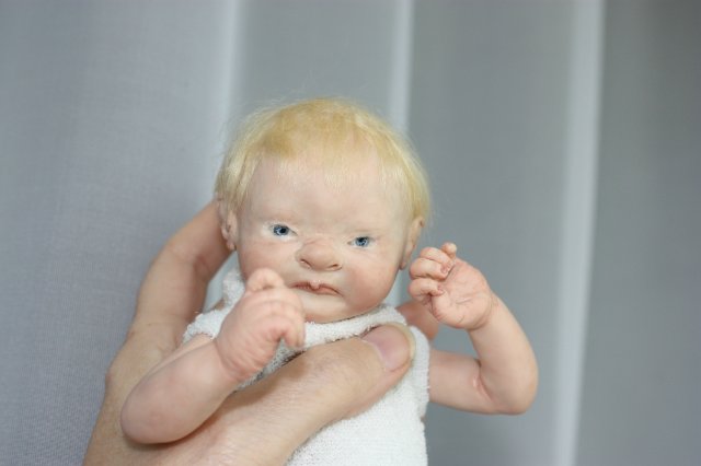 ООАК августа. Мы просыпаемся