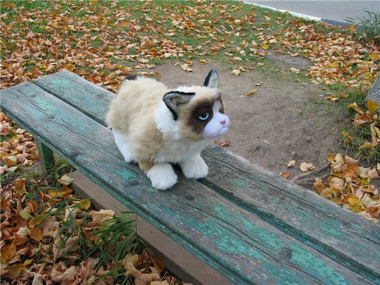 Grumpy cat — Текстильные игрушки и примитивы: кофейные (фото 3)