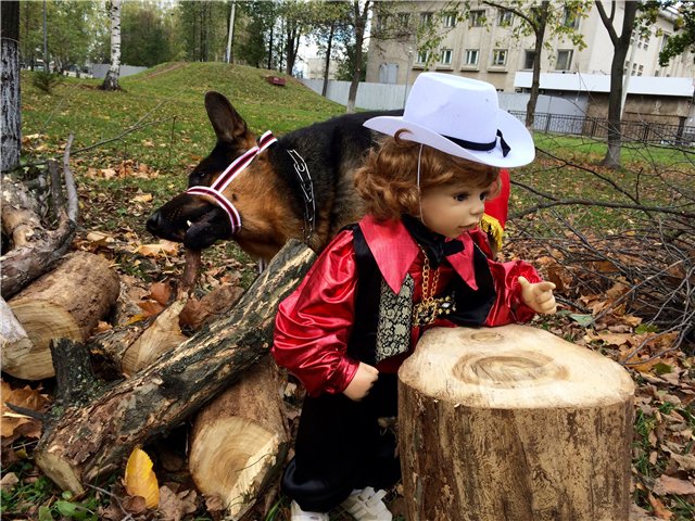 История любви, или К нам приехали цыгане (фото 5)