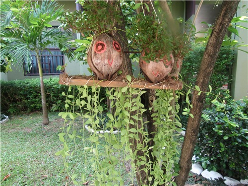 Тайланд Вам рад - на чудеса богат (фото 5)