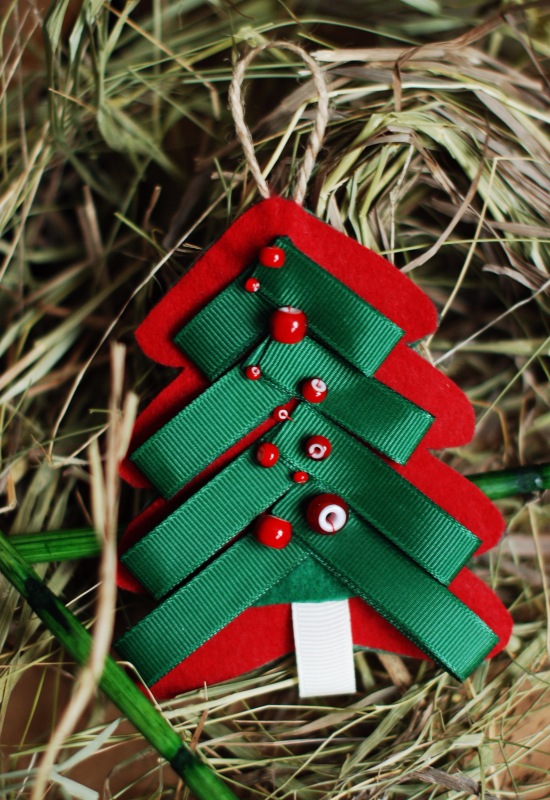 Ёлки-иголки — Другие хобби и увлечения: сад (фото 4)