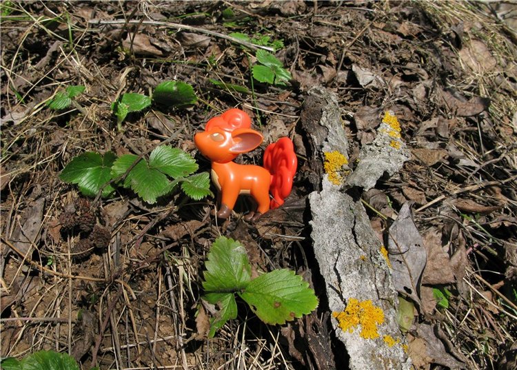 Приключения Адель на водопаде, продолжение. Джульетта от Sylvia Natterer