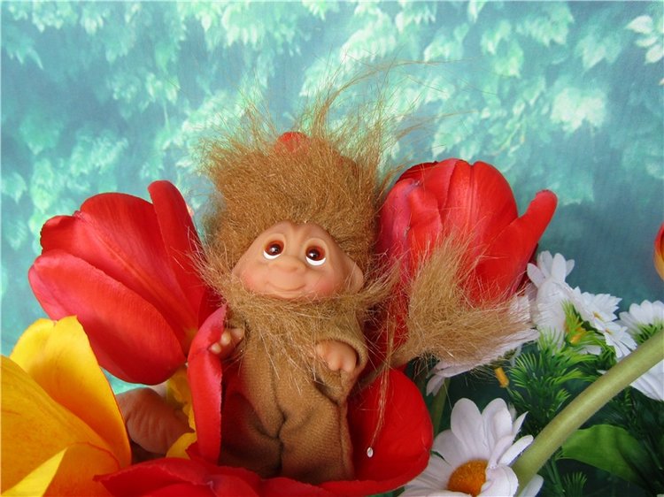 Крокодильчики мои, цветики речные (фото 9)