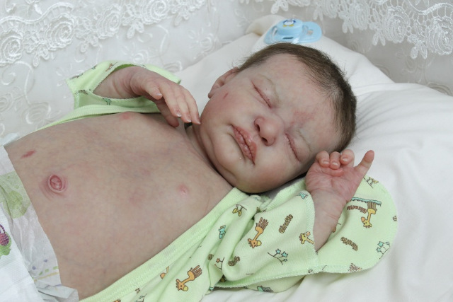 Сиренити от Екатерины Бойковой. Serenity Laura Lee Eagles