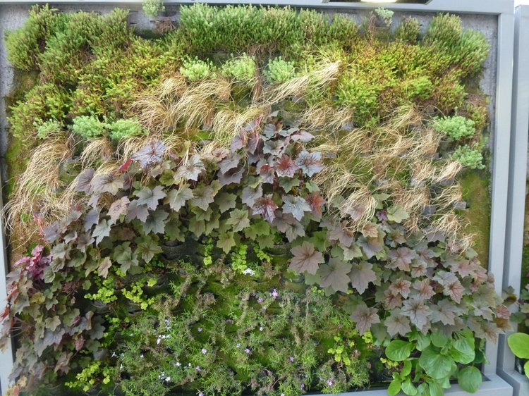 Немного о Белграде, Сербия