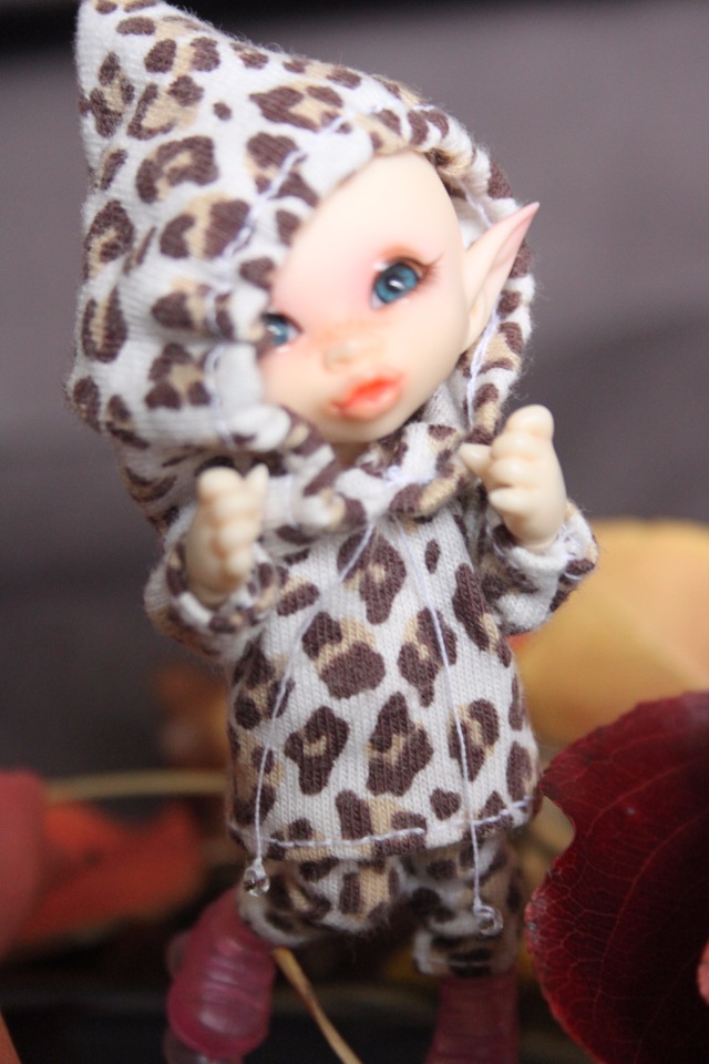 Осень в Австралии — Одежда и обувь для кукол BJD (БЖД): 1/3