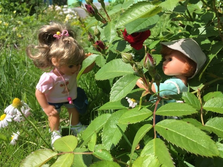 Мылыши от Gabriele Müller на даче (фото 2)