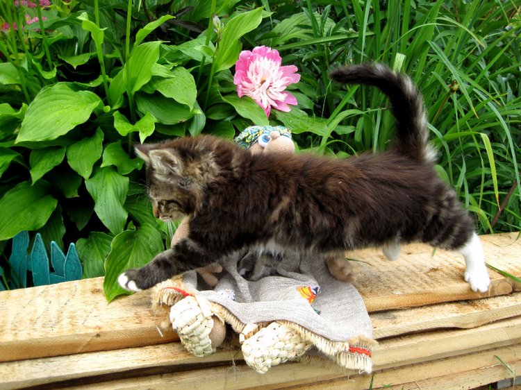 Бабушка из сказки — Коллекционные игрушки и фигурки: Lego