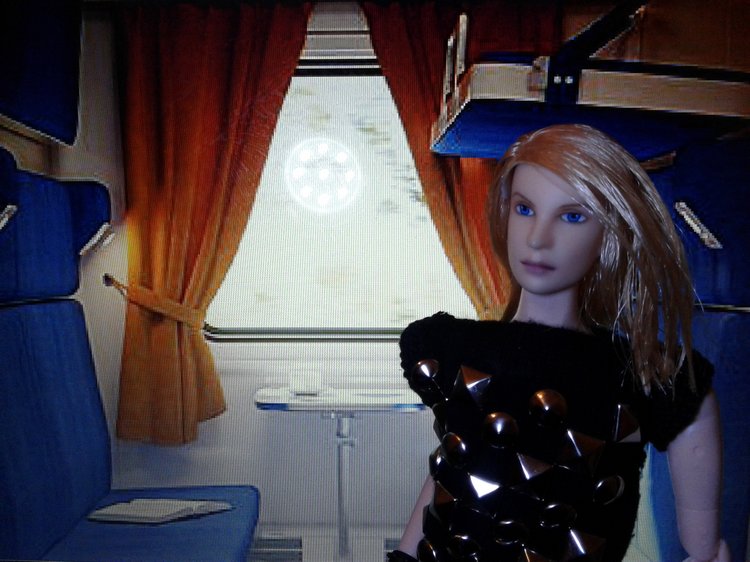 Зимнее солнце. Глава 1. Сказочный поезд (фото 9)