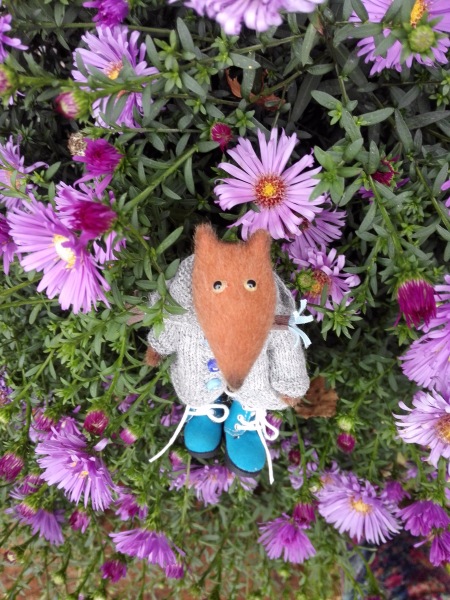 Краски осени. Прогулка с авторским лисёнком