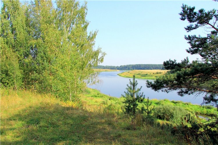 Просто Соня. Уникальные куклы от Сильвии Наттерер | Бэйбики Просто Соня. Уникальные куклы от Сильвии Наттерер