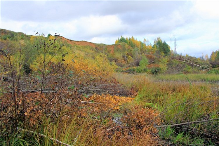 Тверской Водопад — Туризм и путешествия: фотоотчеты из поездок