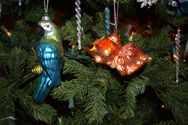 Болталка и разговоры обо всем: жизнь