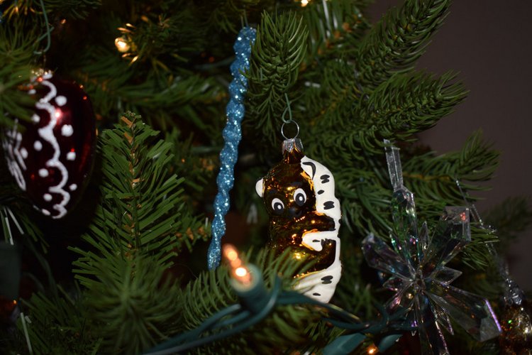 Болталка и разговоры обо всем: жизнь