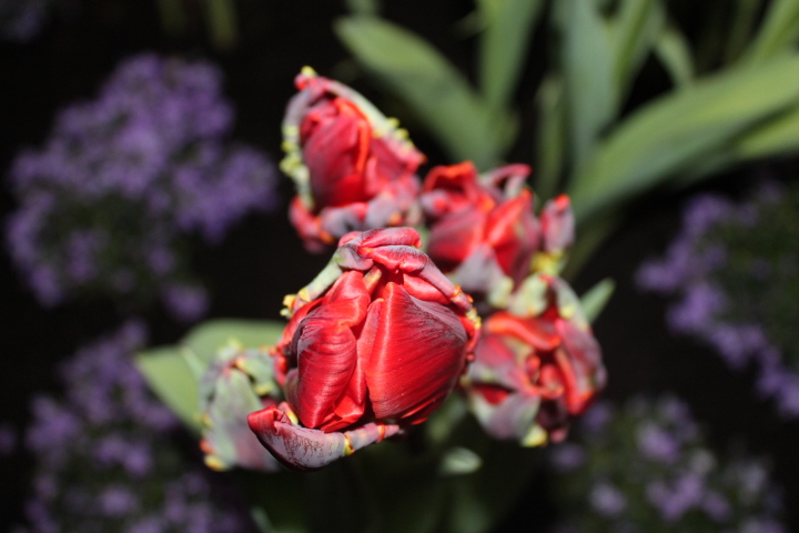 По Германии: весна в Лейпциге