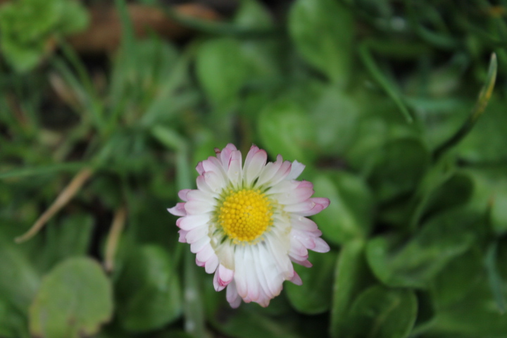 По Германии: весна в Лейпциге