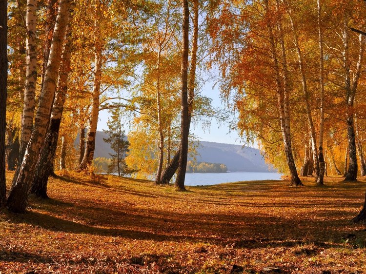 Зимнее солнце. Глава 18. Мэлани