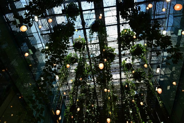 Опять хочу - нет не в Париж, а в Баварию (фото 3)