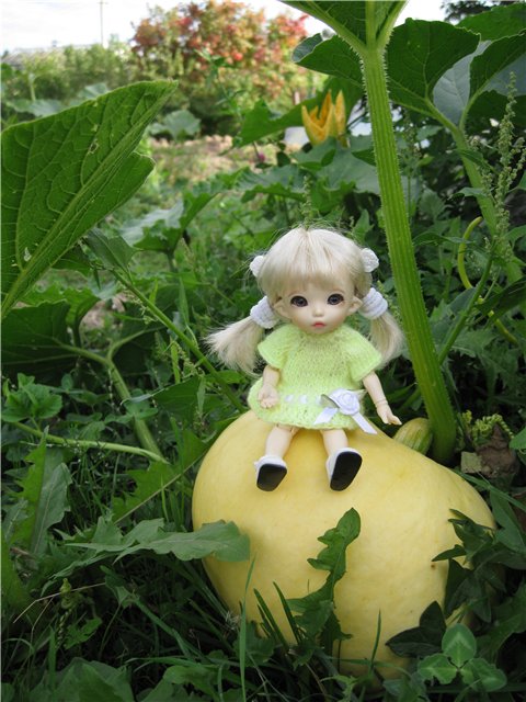 Маленькая дачница! Пукифи Анте Элис | Бэйбики Маленькая дачница! Пукифи Анте Элис