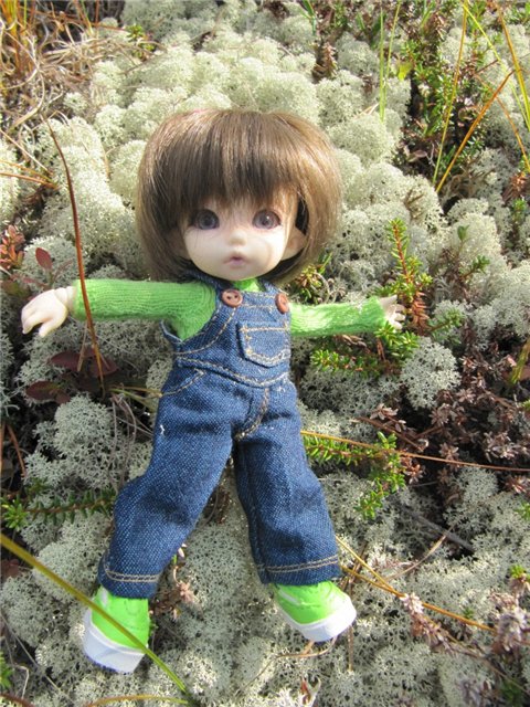 Как Майка за ягодами ходила. Кукла БЖД | Бэйбики Как Майка за ягодами ходила. Кукла БЖД (фото 3)