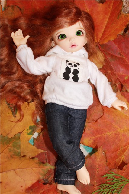Осень у нас дома | Бэйбики Осень у нас дома — Куклы Fairyland (ФэйриЛэнд): BJD (БЖД) (фото 8)