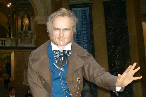 авторские куклы Gerlinde Stelzer