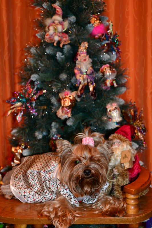 Наша новогодняя елка! Кукольная коллекция