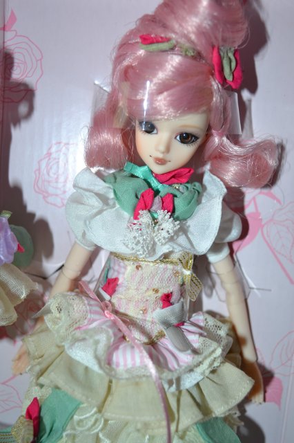 Девушка-пион: джеечка La Rue de Rivoli (J-doll) (фото 3)