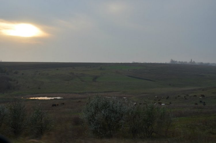 Моя поездка на выставку "VI Международный салон Модна лялька" Киев | Бэйбики Моя поездка на выставку "VI Международный салон Модна лялька" Киев