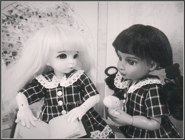 TRIXIE от TONNER или такая разная Соломийка