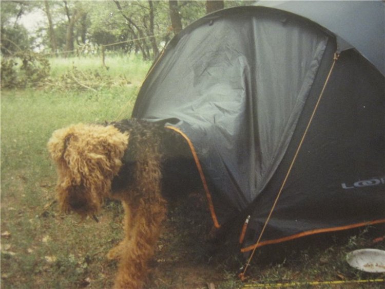 По мотивам "Варежки" — Другие хобби и увлечения: сад (фото 3)