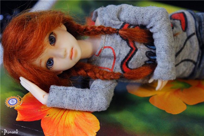 Студенческая ночь с Кинко, Nano Haruka на теле Pure Neemo Azone XS