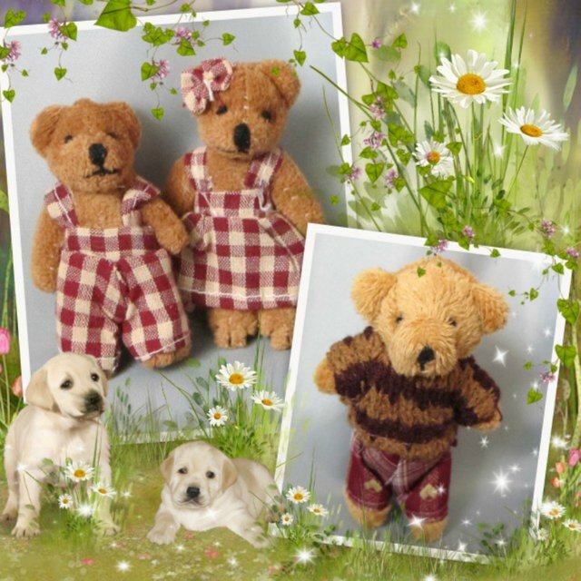 Все мишки в гости к вам! Календарь на 2016 год с мишками (фото 4)