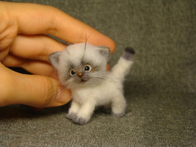 Котейка. Авторская игрушка валянием из шерсти Ольги Чернухо (фото 10)