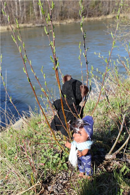 Моя сказка про Ёжика и Мишку (фото 4)