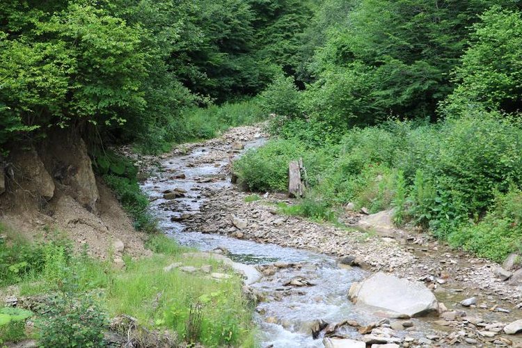 Те, кто нас любит и в домашнем халате, и без косметики, и растрепанными | Бэйбики Те, кто нас любит и в домашнем халате, и без косметики, и растрепанными