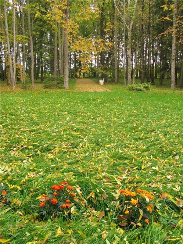 Осенний блюз — Куклы Heidi Plusczok (Хайди/Хейди Плюсчок) — фото (фото 2)