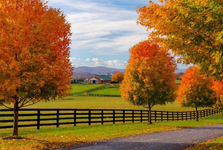 Красотка-осень — Болталка и разговоры обо всем: жизнь