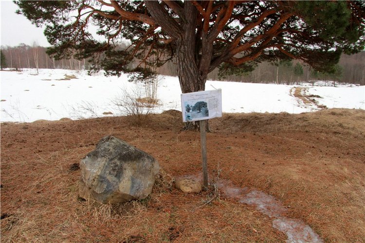 Весеннее путешествие. Продолжение (фото 5)