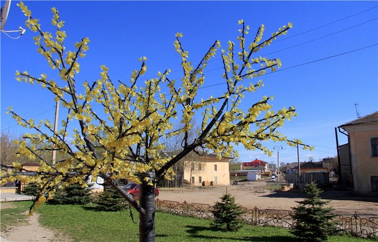 Путешествие в Бежецк — Культура