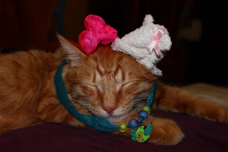 Сказочная девочка Алиса Classic Charm Lee Middleton doll