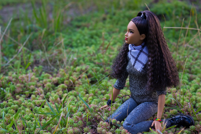 Мои Барбеечки Made to Move и гибриды