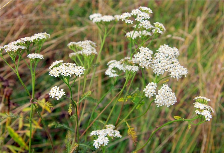 Тверской Водопад — Туризм и путешествия: фотоотчеты из поездок