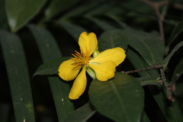 По Германии: зоопарк Лейпцига, часть 2