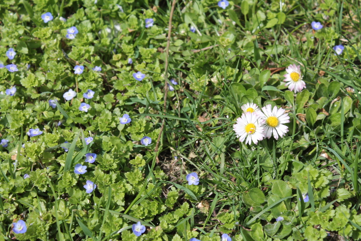 По Германии: весна в Лейпциге